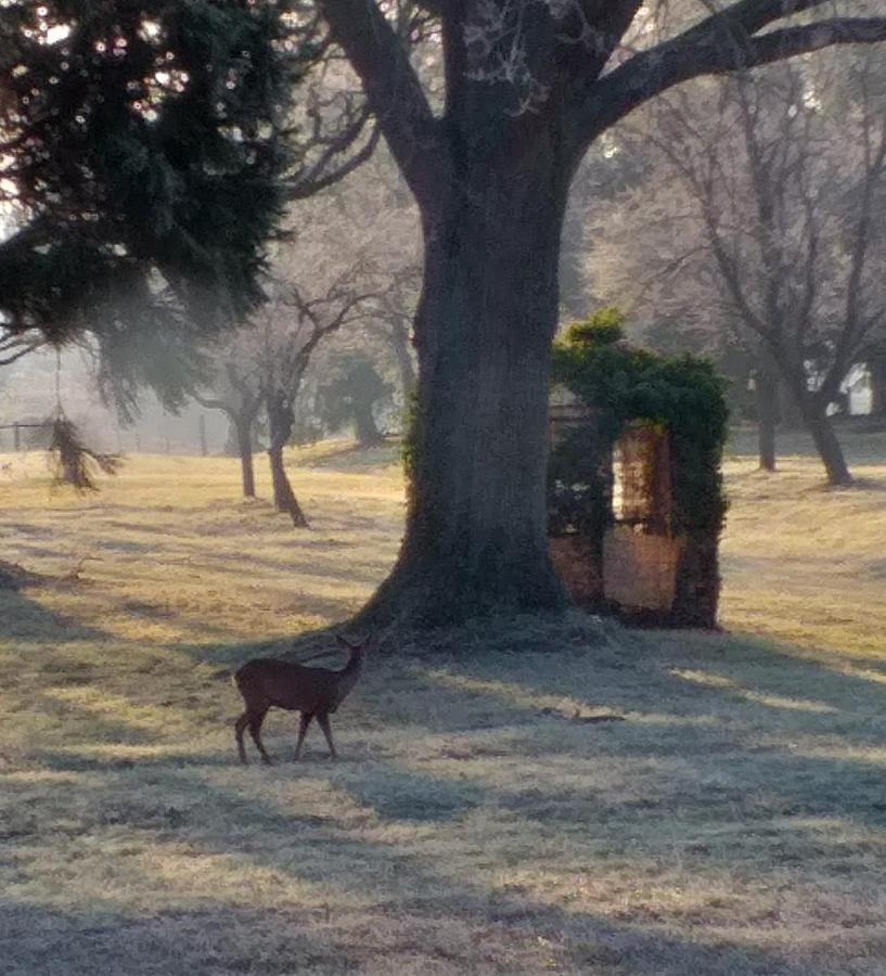 Ouches Domaine Berenguer Bed & Breakfast エクステリア 写真