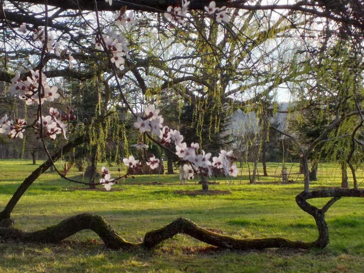Ouches Domaine Berenguer Bed & Breakfast エクステリア 写真