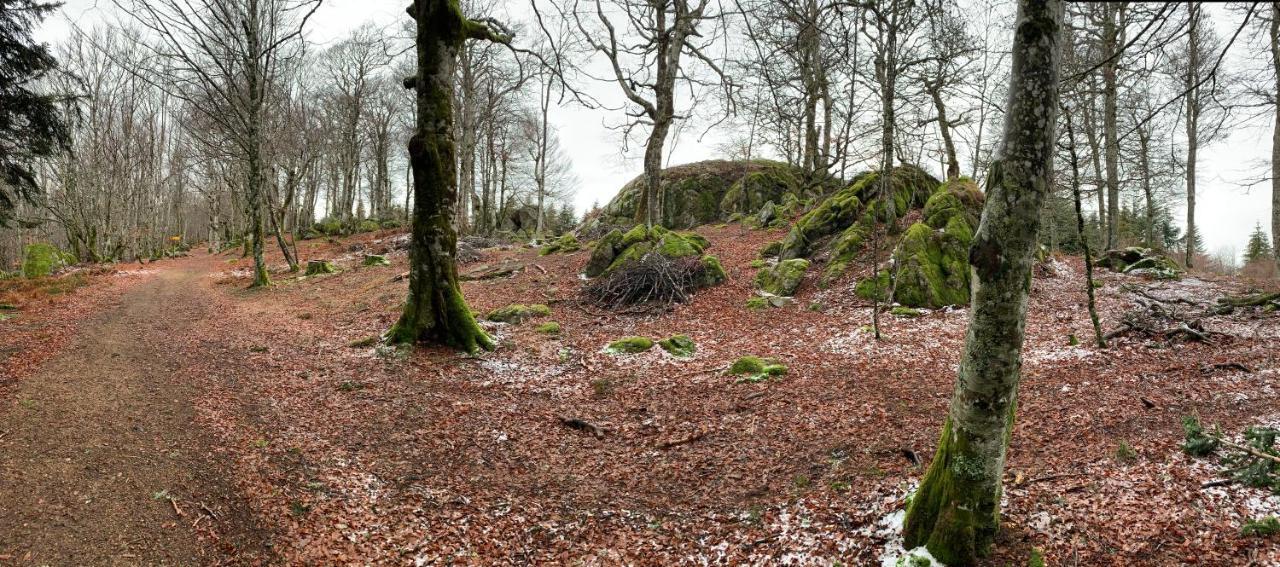Ouches Domaine Berenguer Bed & Breakfast エクステリア 写真