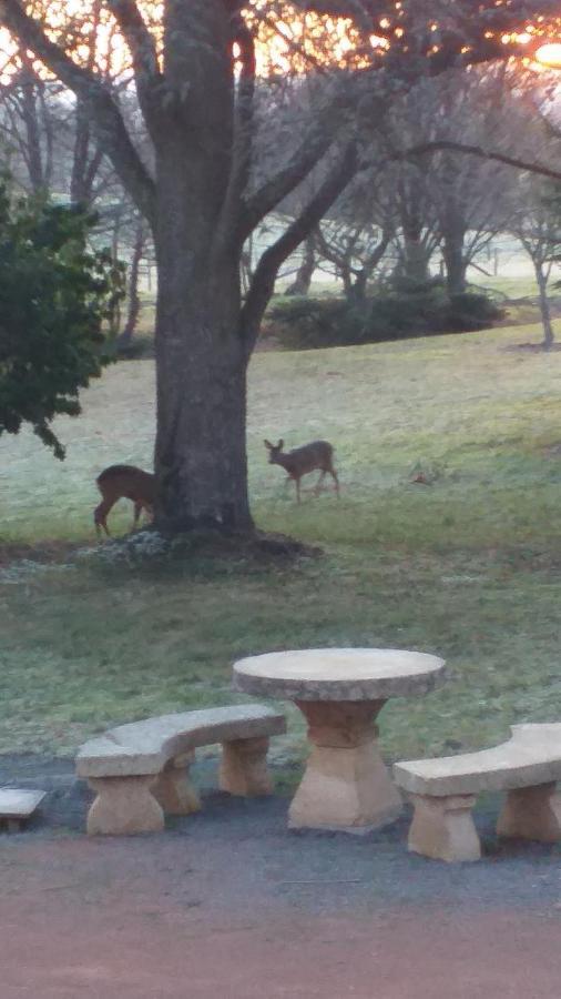 Ouches Domaine Berenguer Bed & Breakfast エクステリア 写真